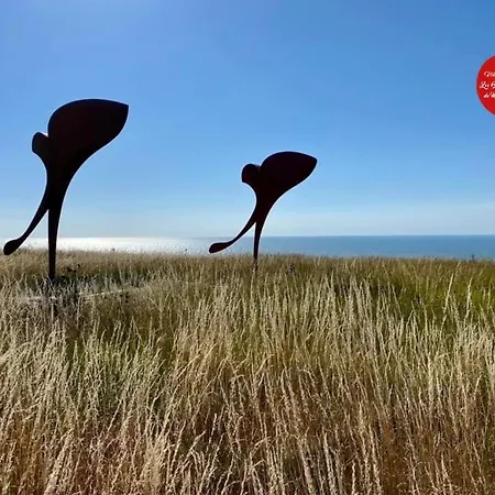 Clair De Falaises * Le Tréport