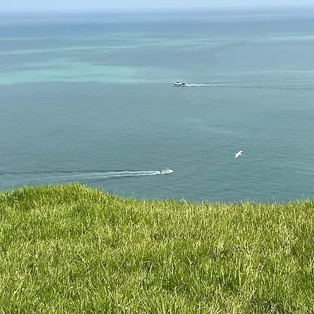 Clair De Falaises